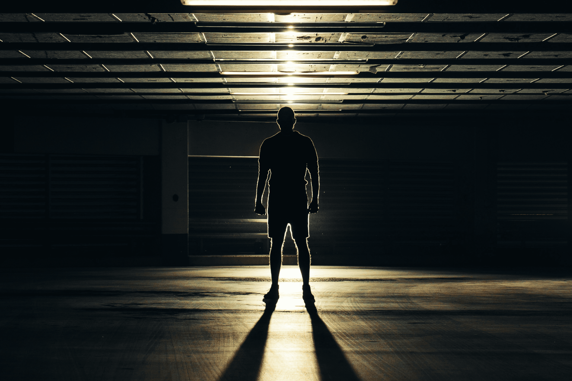 jaanus-jagomagi-zEpAZCWzGhg-unsplash En mörk silhuett i motljus